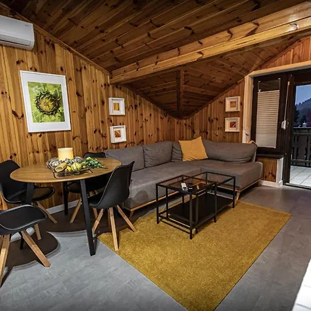 Miodzio Apartament *